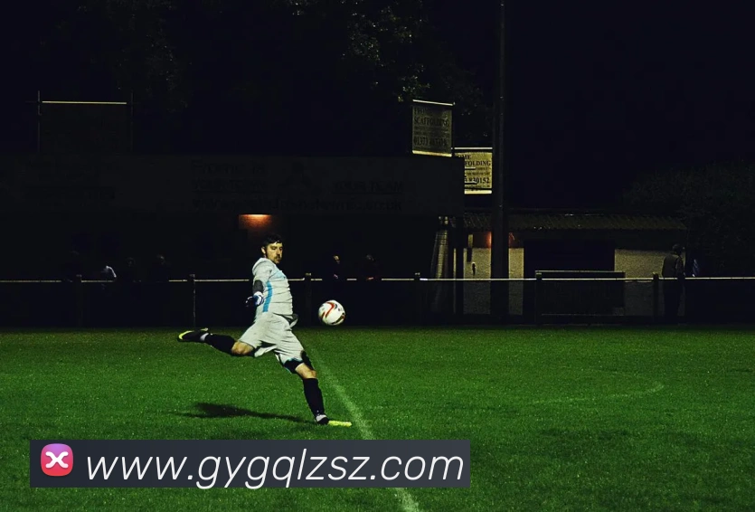 乐动体育平台生态图