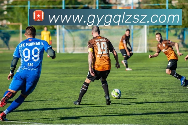 乐动体育APP 封面图