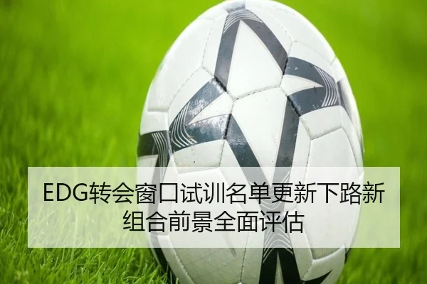 EDG转会窗口试训名单更新下路新组合前景全面评估 - LEDONGSPORTS